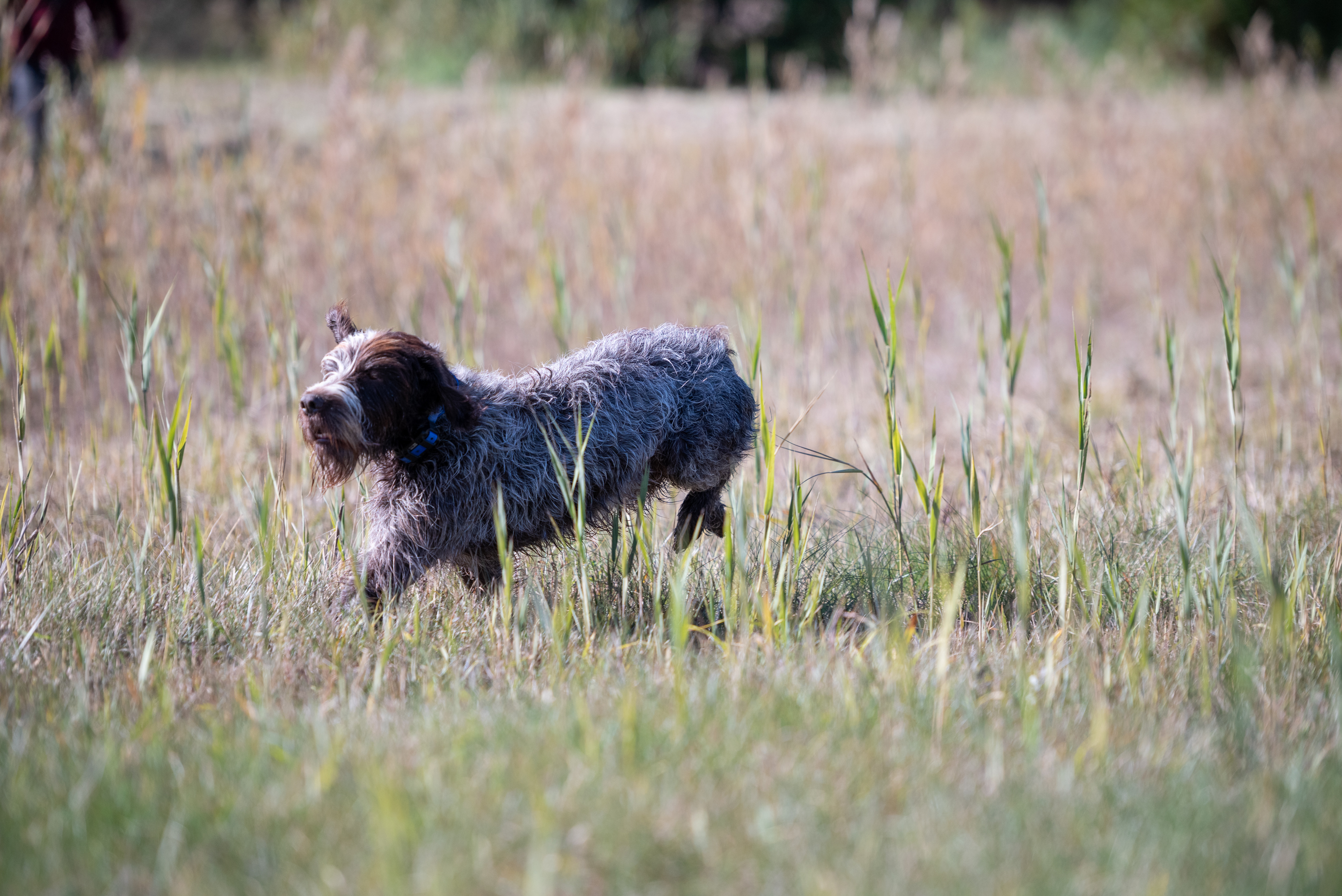 31Remy_Boily-9206.jpg